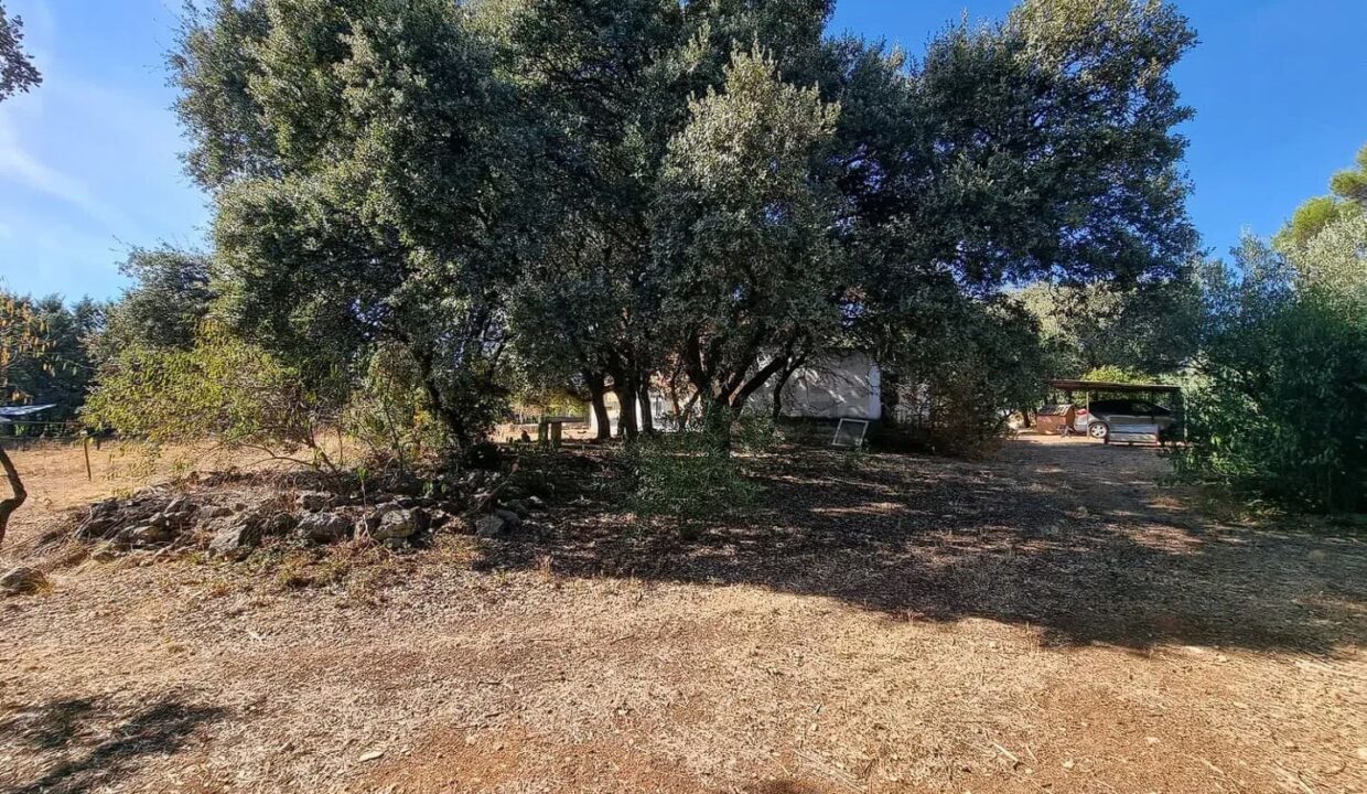 Casa o chalet independiente en venta en Pioz (16)