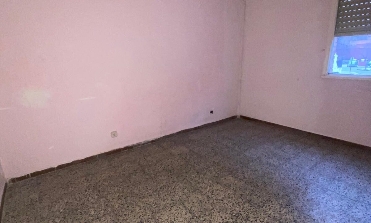 WhatsApp Image 2026-01-13 at 19.21.43