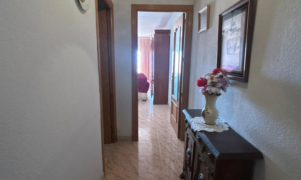 WhatsApp Image 2026-01-15 at 09.41.04