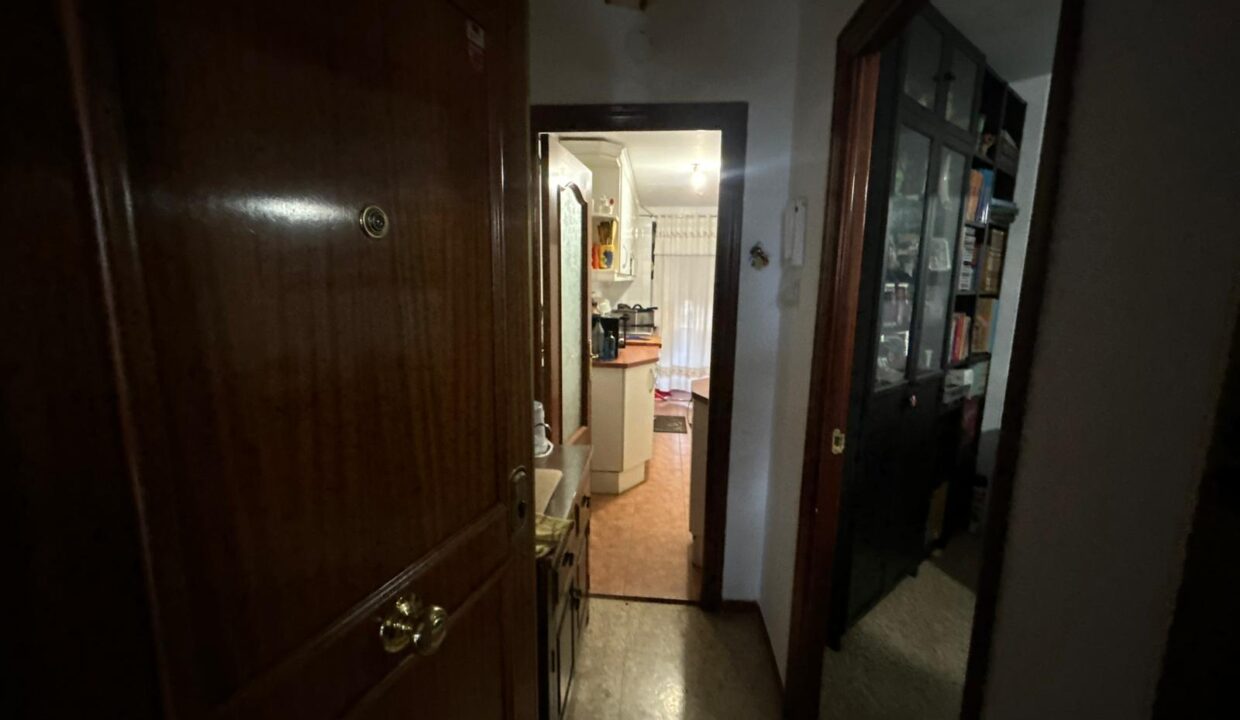 WhatsApp Image 2026-02-17 at 11.16.21 (1)