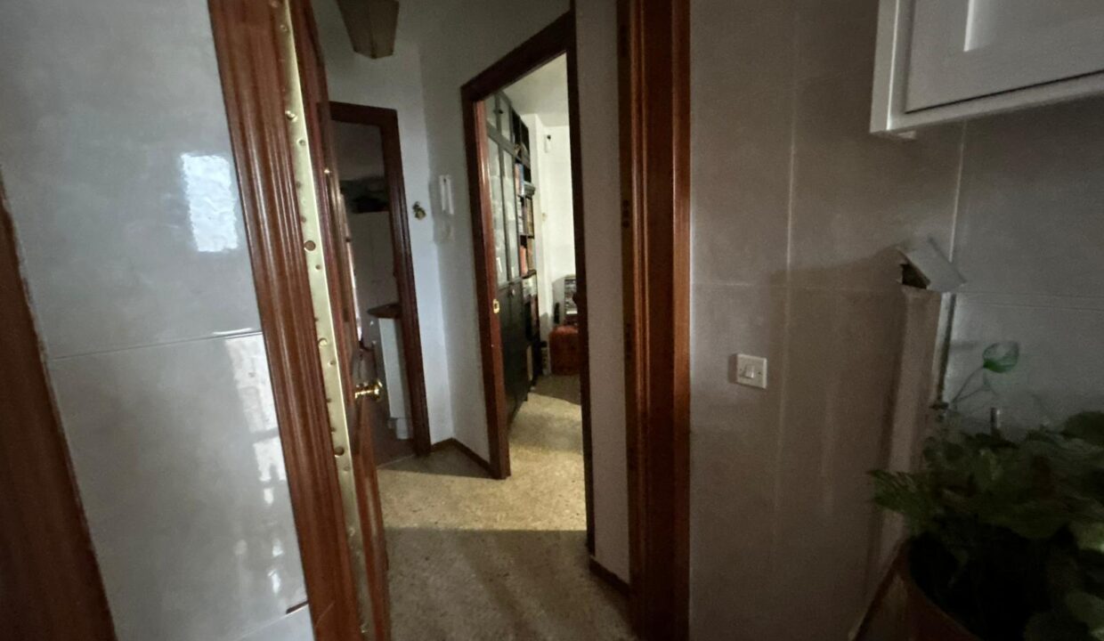 WhatsApp Image 2026-02-17 at 11.16.21