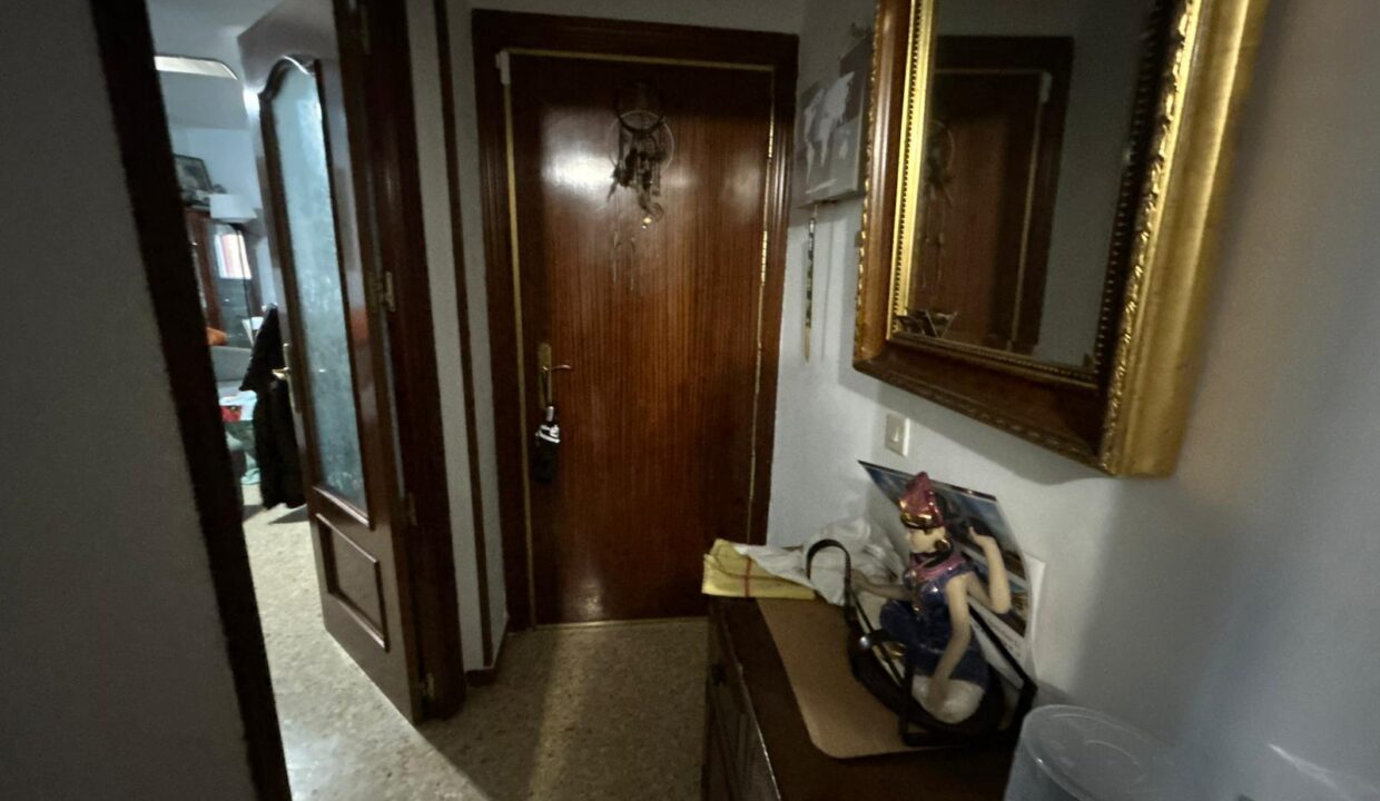 WhatsApp Image 2026-02-17 at 11.16.22