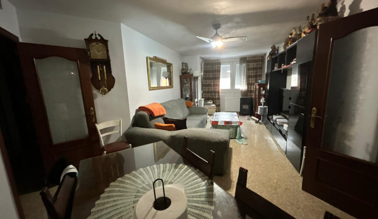 WhatsApp Image 2026-02-17 at 11.16.23 (4)