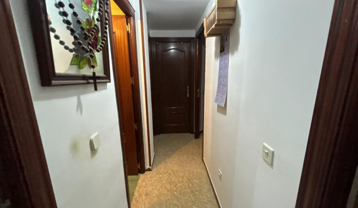 WhatsApp Image 2026-02-17 at 11.16.25 (4)