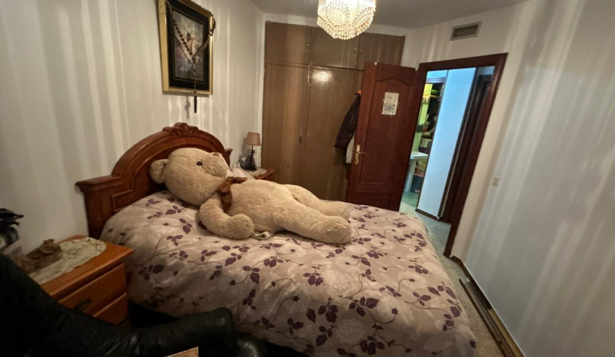 WhatsApp Image 2026-02-17 at 11.16.26 (1)