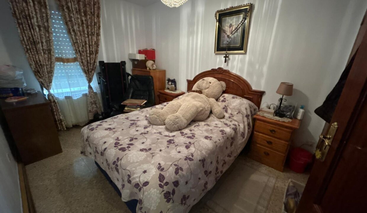 WhatsApp Image 2026-02-17 at 11.16.26