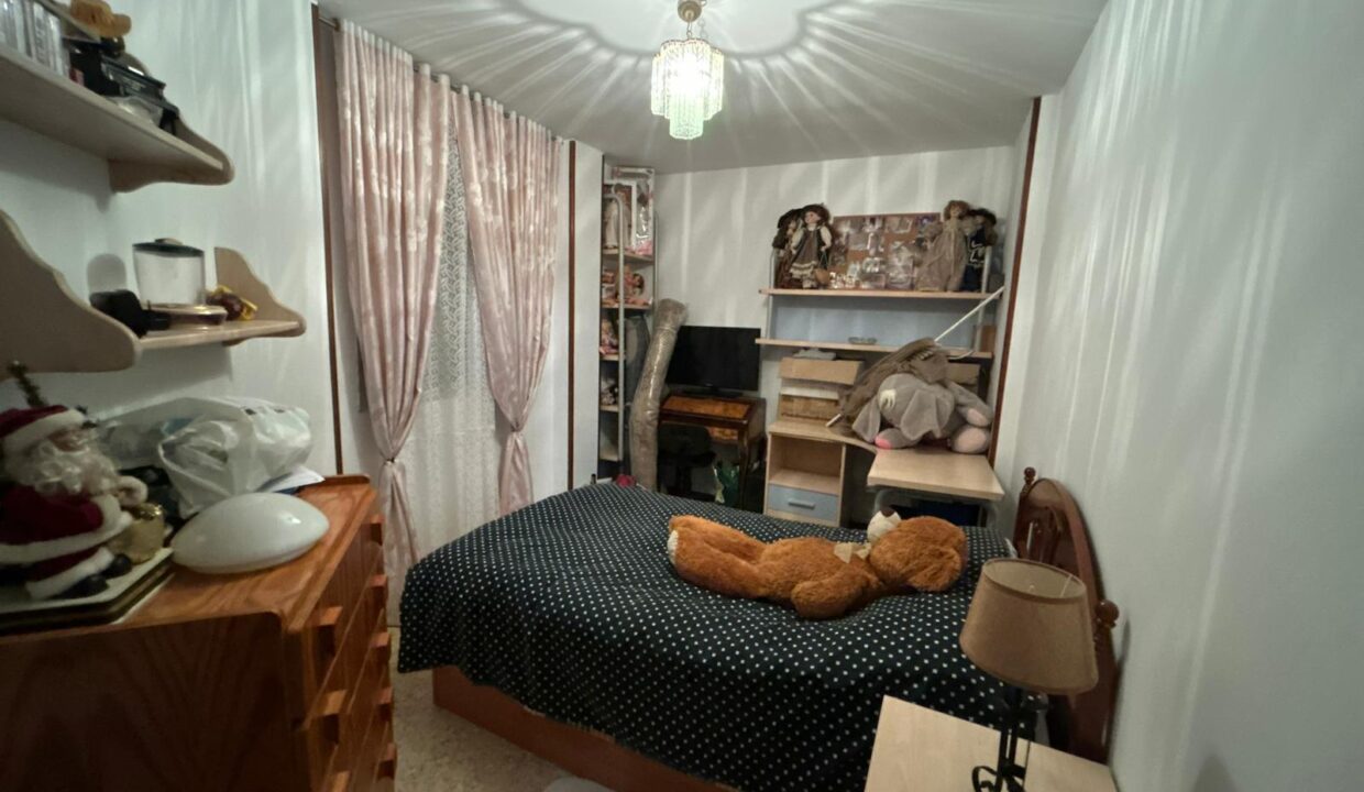 WhatsApp Image 2026-02-17 at 11.16.26 (2)