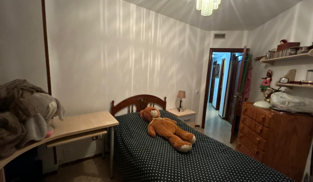 WhatsApp Image 2026-02-17 at 11.16.26 (3)