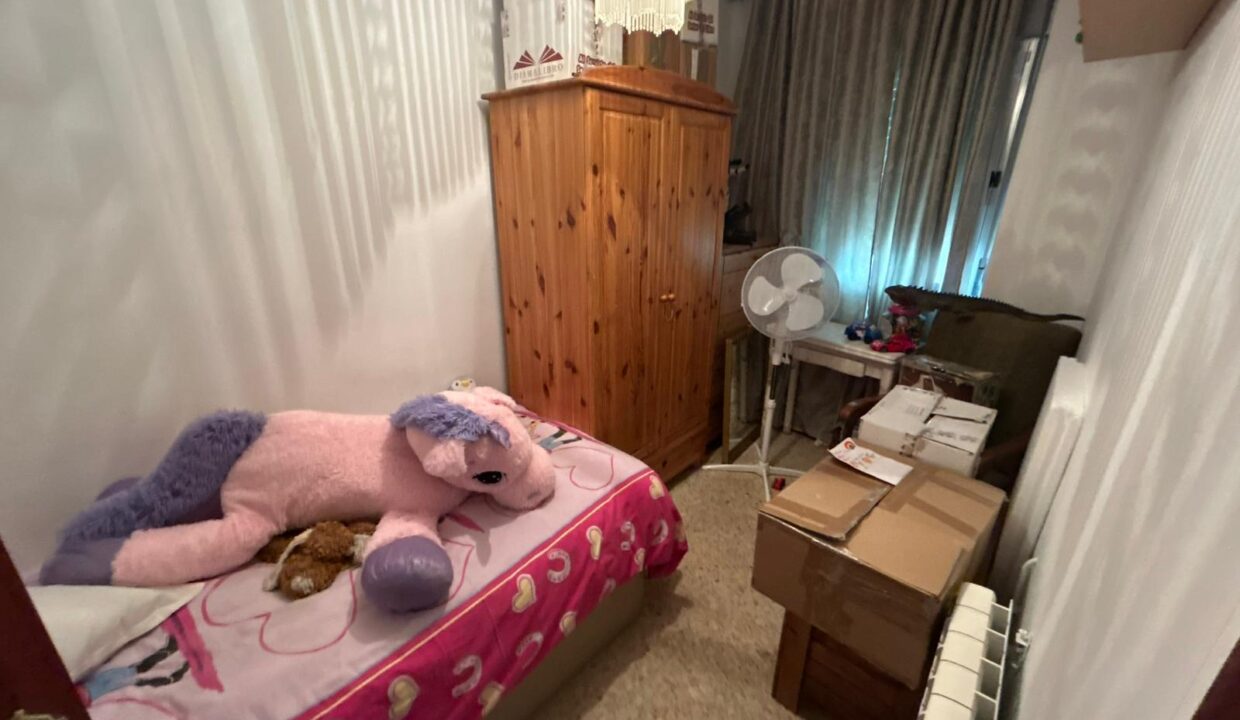 WhatsApp Image 2026-02-17 at 11.16.27 (1)