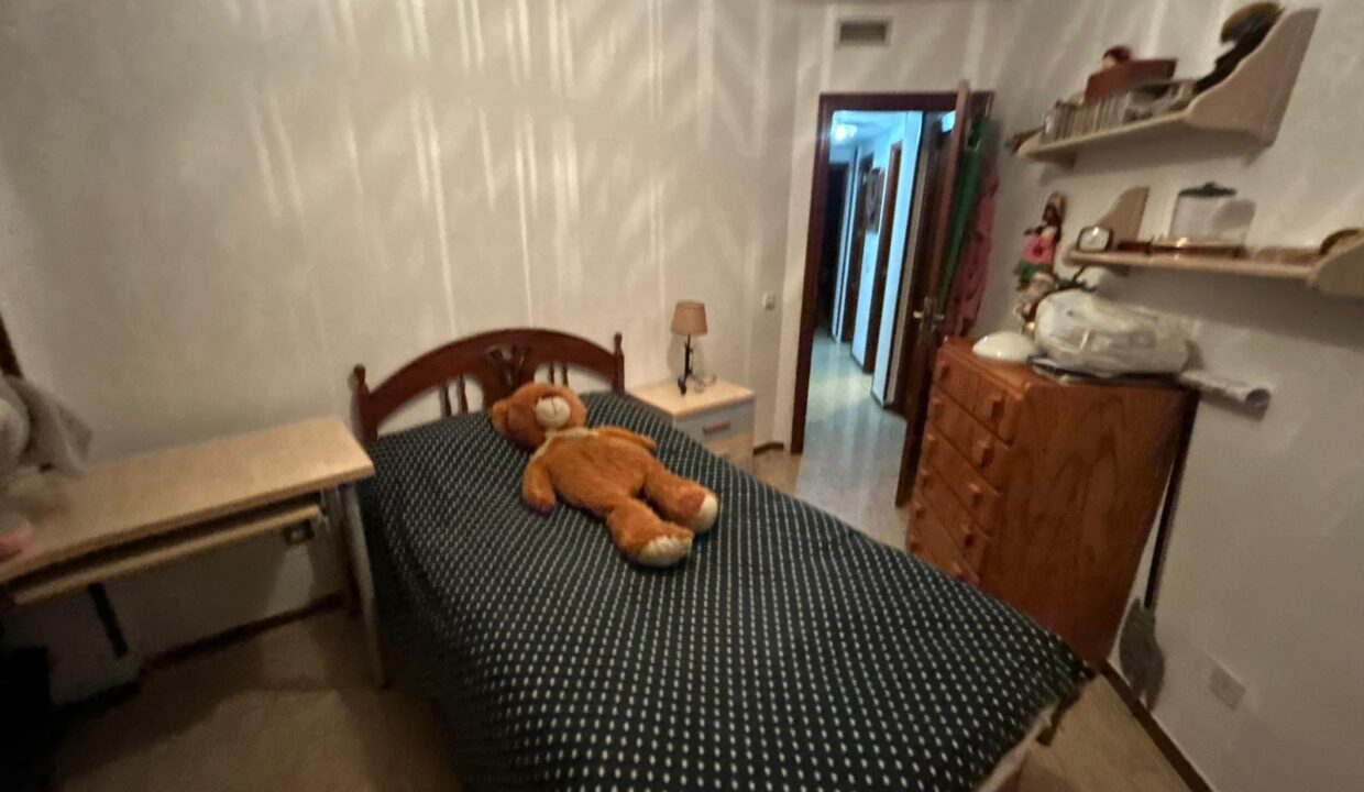 WhatsApp Image 2026-02-17 at 11.16.27