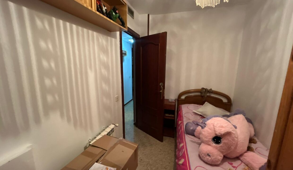 WhatsApp Image 2026-02-17 at 11.16.27 (3)