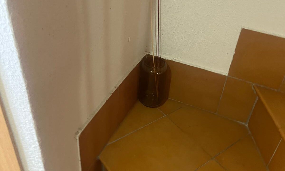 WhatsApp Image 2026-03-04 at 19.47.49 (6)